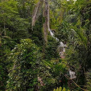 The Sebali Indonesia